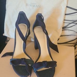 Brand new Alexandre Birman Shoes